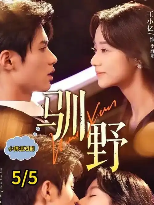 长安夜行录热播电视剧全集在线观看